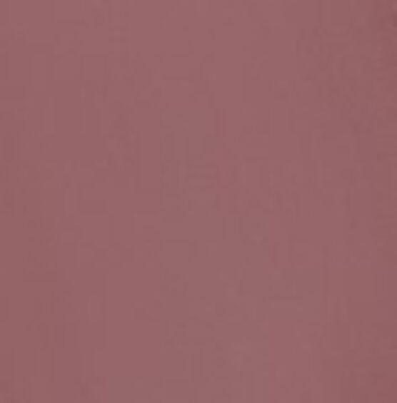 ANASTASIA  STICK BLUSH   FACE ROSE